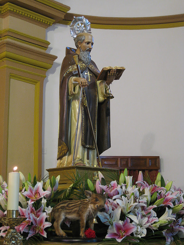 Fiesta de San Antón